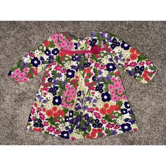 Gymboree‎ Floral Corduroy Dress Girls 3T Long Sleeve Pink Green Purple
