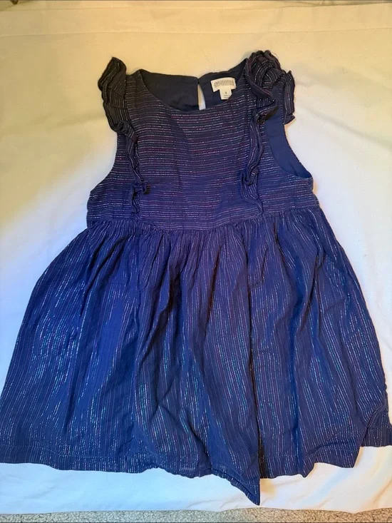 Gymboree Purple/Blue Shimmer Ruffle Sleeve Party Dress 3t