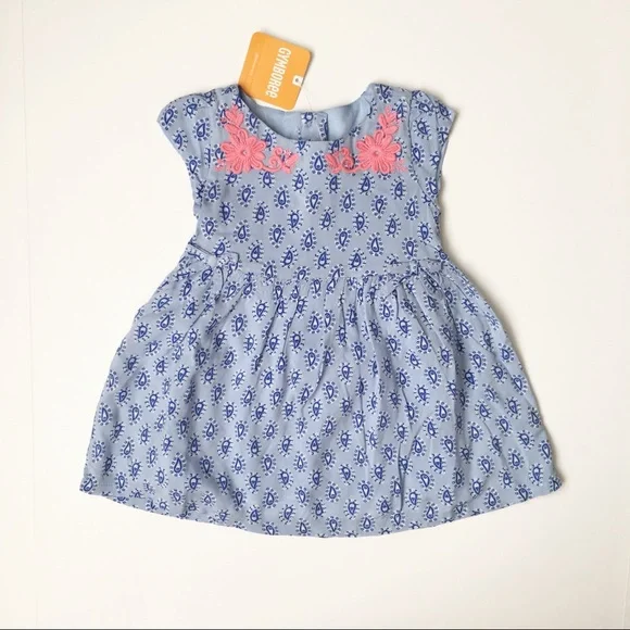 NWT Gymboree Paisley Embroidered Dress