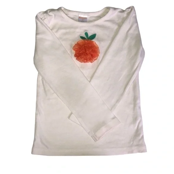 Gymboree pumpkin top 🛍
