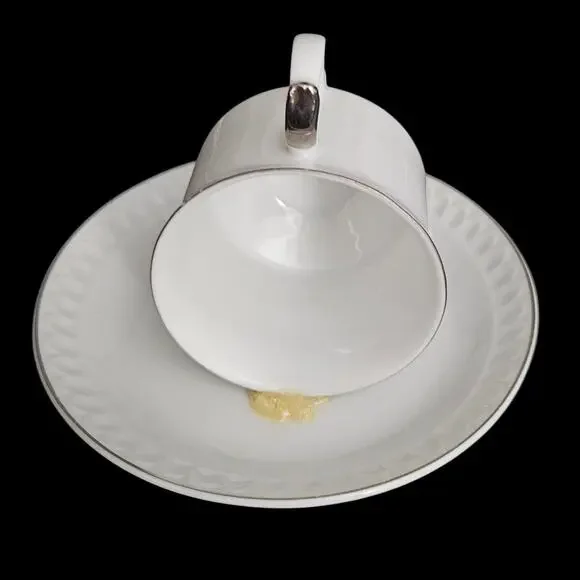 Repurposed Teacup Bird Feeder White Porcelain Silver Trim Decor