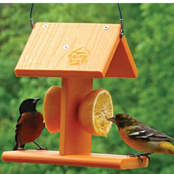 Going Green Bright Orange Hanging Bird Feeder
