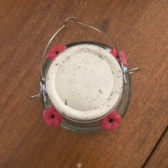 ☀️Baby Hummingbird Feeder