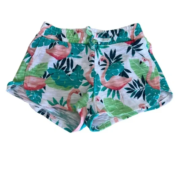 Gymboree Flamingo Palm Shorts Size 18-24 months