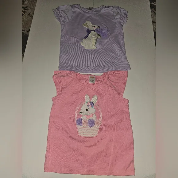 2 GYMBOREE Bunny Shirt — 4T Pink Purple