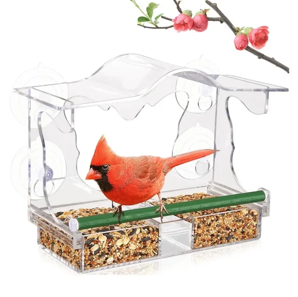 Window Bird Feeder