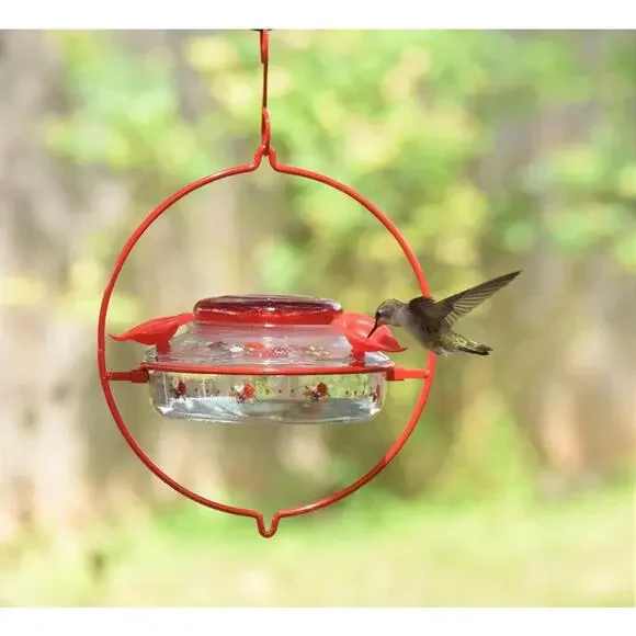 Hummingbird Feeder Decorative Glass Top-Fill