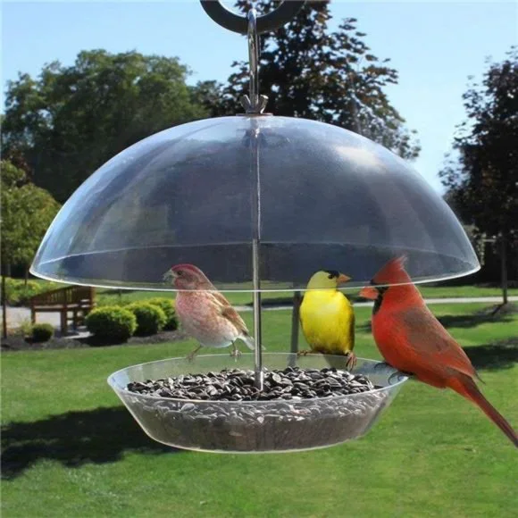 Adjustable Dome Helps Larger Birds The Observatory Dome Feeder