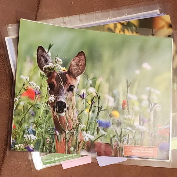 Homemade cover and 5 dashboards/dividers for a classic sized disc bound planner
