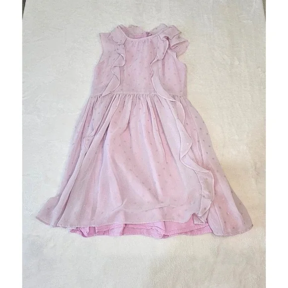 OshKosh Bgosh Girls Purple Metallic Heart Ruffle Dress Size 7 OSH11771-GP