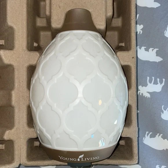 Young Living Desert Mist Diffuser