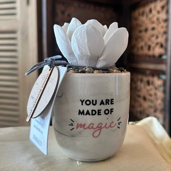 Demdaco Succulent Stoneware Essential Oil Diffuser. You Are Made Of Magic.