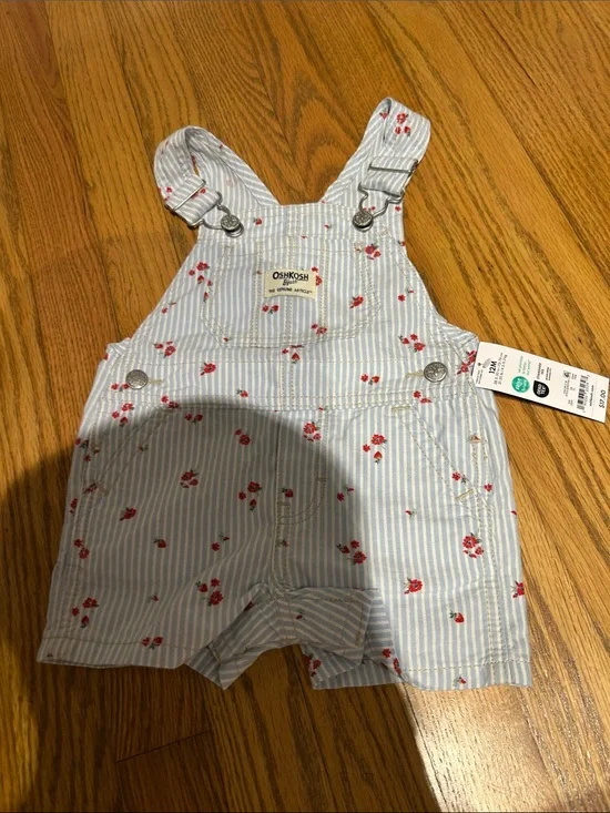 OshKosh B'gosh Blue & White Striped Floral Shortall
