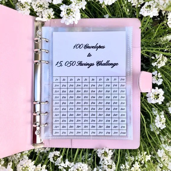 Money Stuffing Challenge Tracker (100 Envelopes)