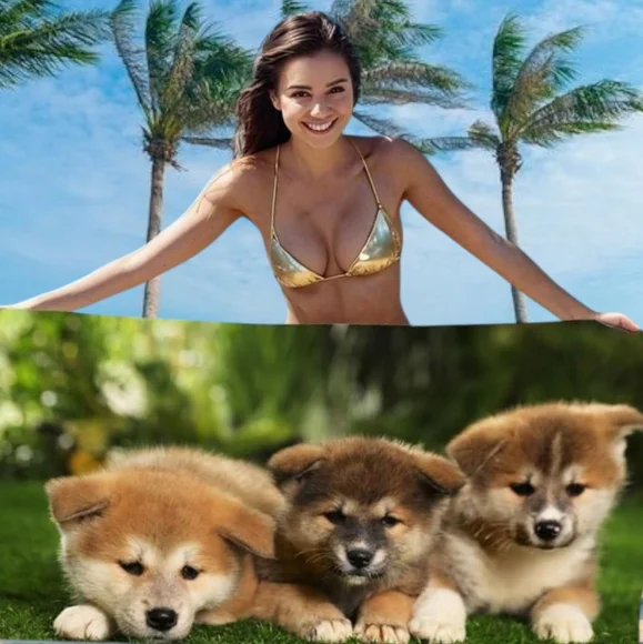 👣4/$20. Adorable Akita Puppies Beach Pool Towel. 55