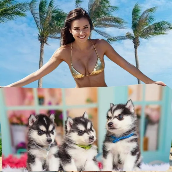 👣4/$20. Adorable Husky Puppies Trio Beach Pool Towel 55