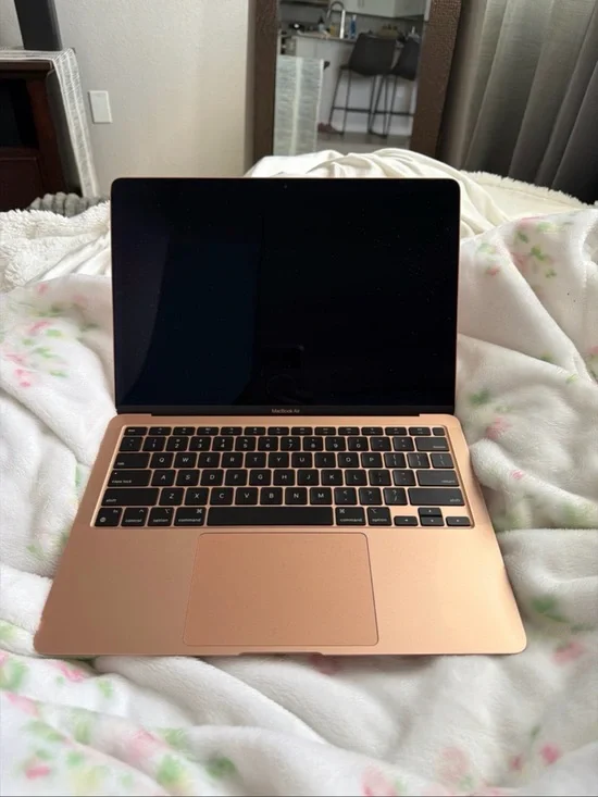 Apple 13