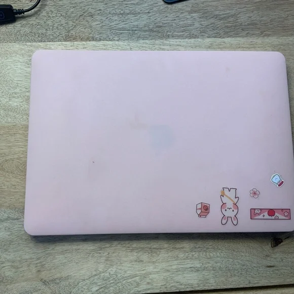 Pink MacBook with pink case and Apple mouse