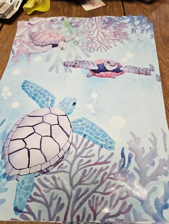 Turtle Polymailer Packages