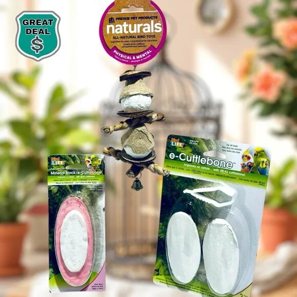 Prevue Pet Naturals Clown Bird Toy Penn-Plax Bird Life Natural e-Cuttlebones NEW