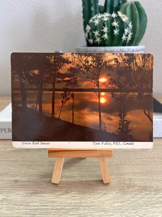 Vintage Green Park Sunset Tyne Valley PEI Canada Posted Scenic Postcard