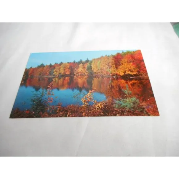 Vintage Postcard unposted Cedar Run Pennsylvania Lake fall nature 1950s