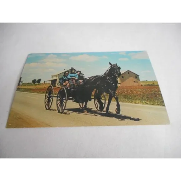 Vintage Postcard Amish buggy Girls Lancaster Pennsylvania Dutch Amish country