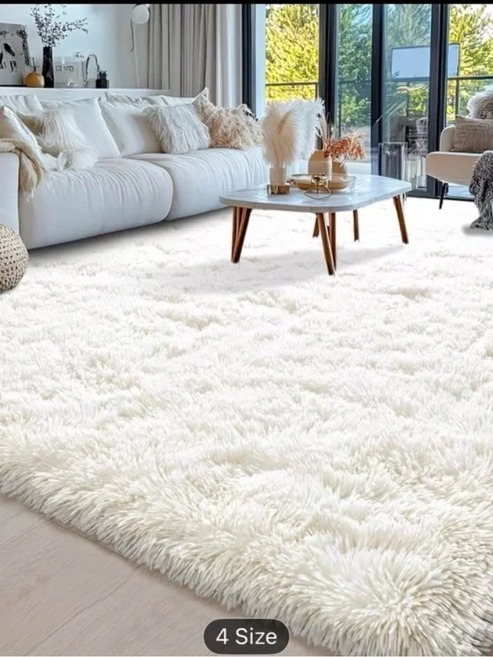 Luxurious Fluffy Shag Rug Ultra Soft,Plush Durable for Modern Home 6x9ft