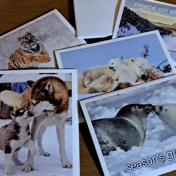 5 Christmas Holiday cards with envelopes animals snow polar bear tiger wolf seal
