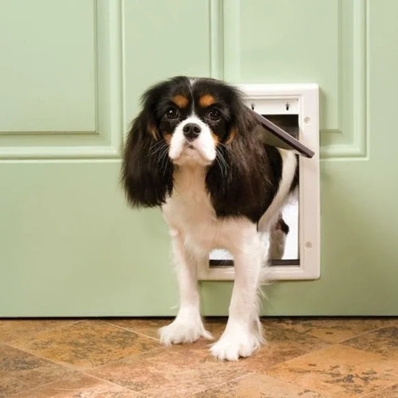 Plastic Pet Door Guardian by PetSafe Small Dog or Cat‎ 1-15 lbs NIB GPA00-13598