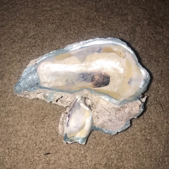 Oyster jewelry holder