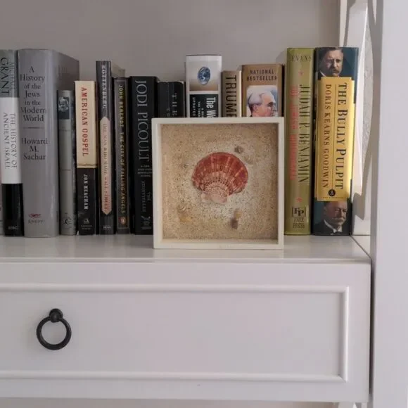 Beachy Shell Shadow Box Wall Art