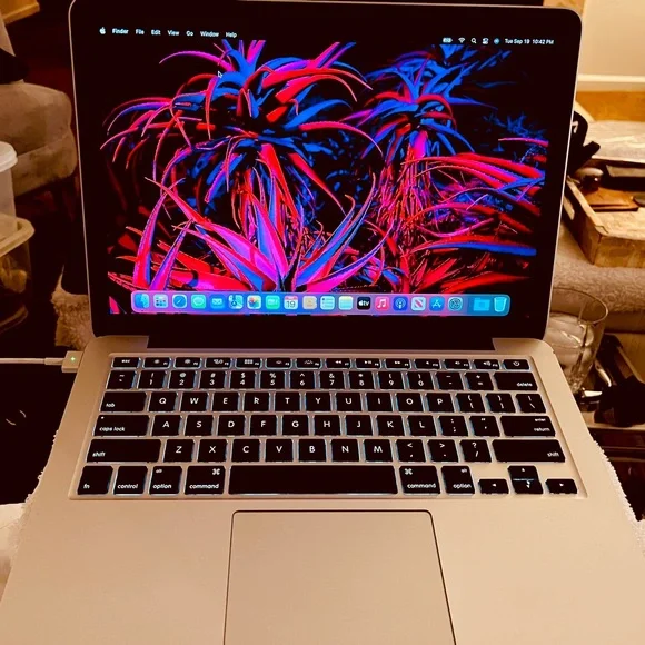 MAC BOOK PRO (Retina, 13”, 2016)