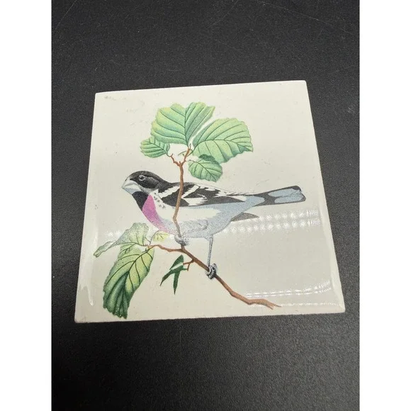 Vintage Ceramic Tile‎ Rose-Breasted Grosbeak Bird Nature Glazed Square Wall Art