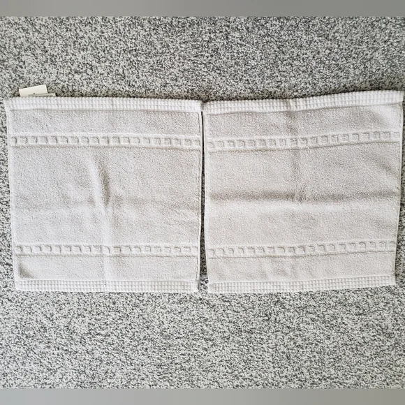 NWT 2 Washcloths Pale Blue Gray By Hotel Vendome Spa Collection