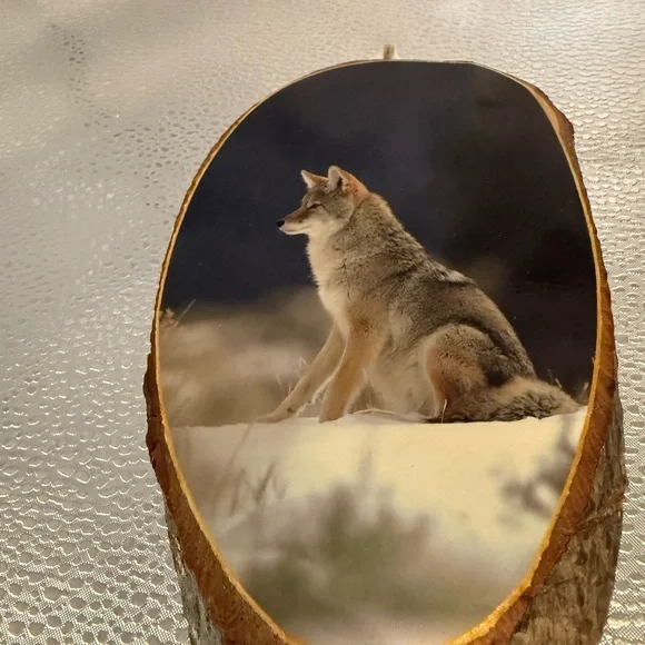 Rustic Wolf Wall Art on Wood Slice