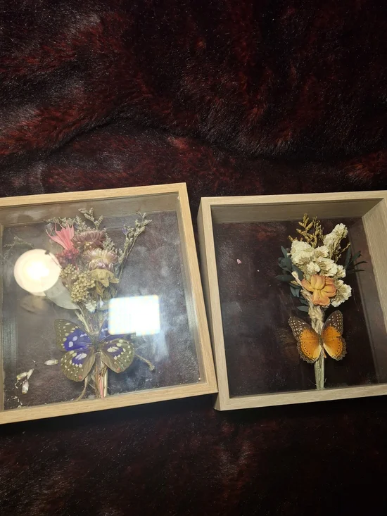 Decorative Framed Dried Flower and Butterfly Wall Art - Set of 2 - Natural Wood