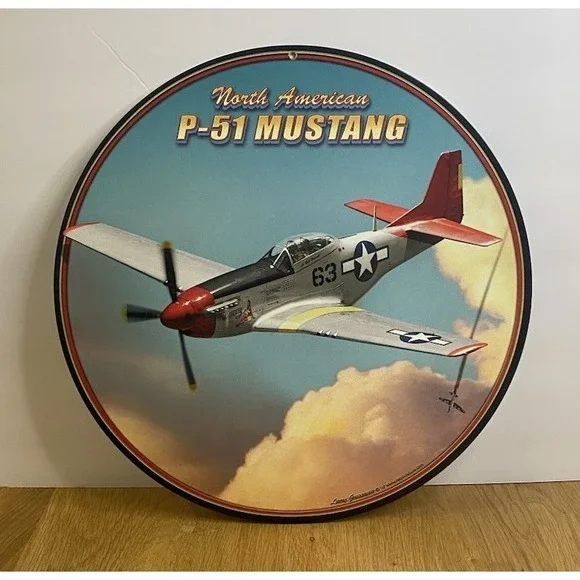 P-51 Mustang 14