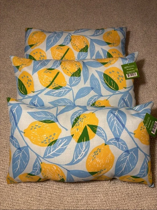 Set of 3 Accent Patio Pillows in Lemon Print Yellow and Light Blue