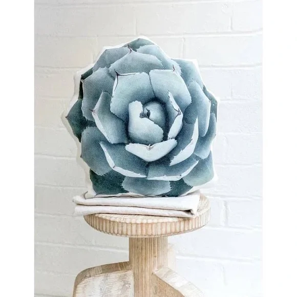 🆕 Agave Truncata Linen Pillow