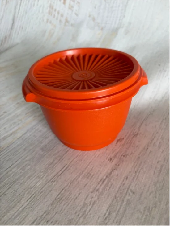 are Orange Food Storage Container One Size