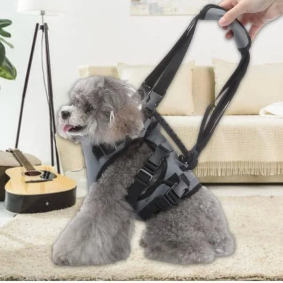 Dog Harness Harness Vest, Soft No Choke Escape Proof Harness and Leash Set S