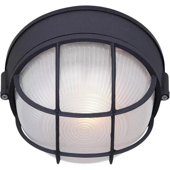 Canarm 1-Light Oudoor Lantern, Black Finish with Frosted Glass Shade, Wet-Rated