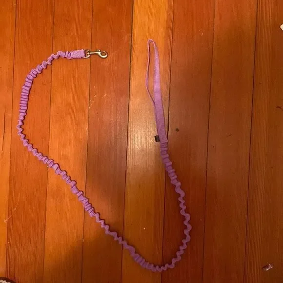 Dog Leash