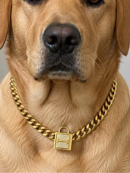 Chain dog collar with bling lock NIB