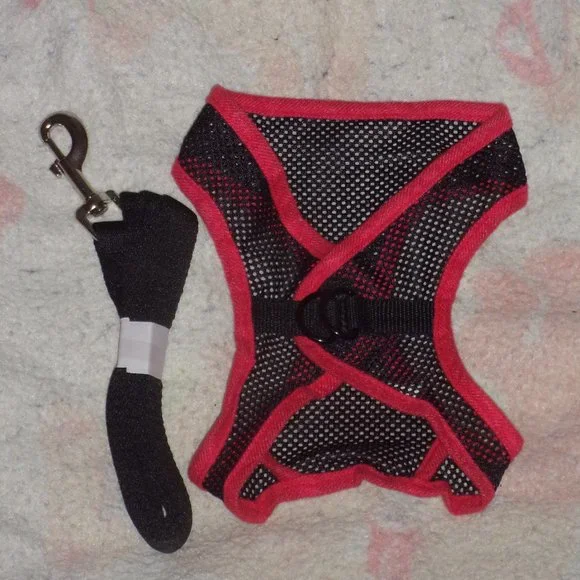 Black and red mesh dog harness and leash with hook and loop closure size large