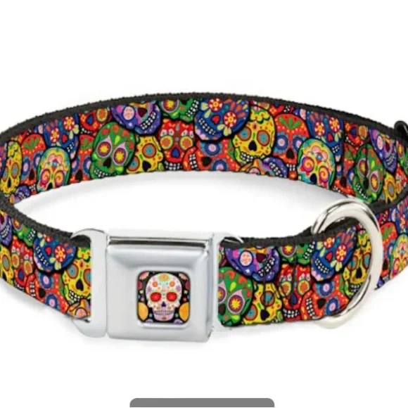 Buckle down dog collar skull adjustable good condition