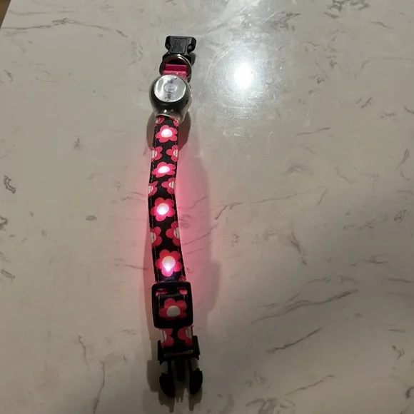 Dog-e-Glow collar