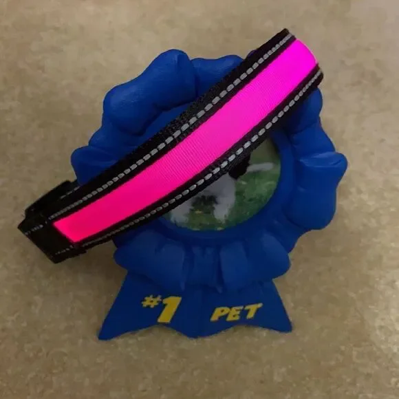 Dog Collar Solar & USB Powered Light Up - L