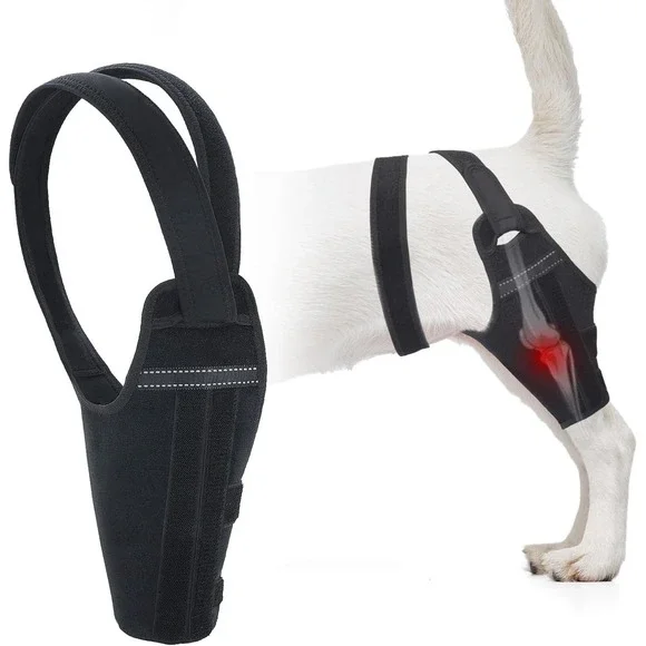 Small Dog Leg Brace Right Hind ACL‎ Support w/ 2 Metal Stabilizers